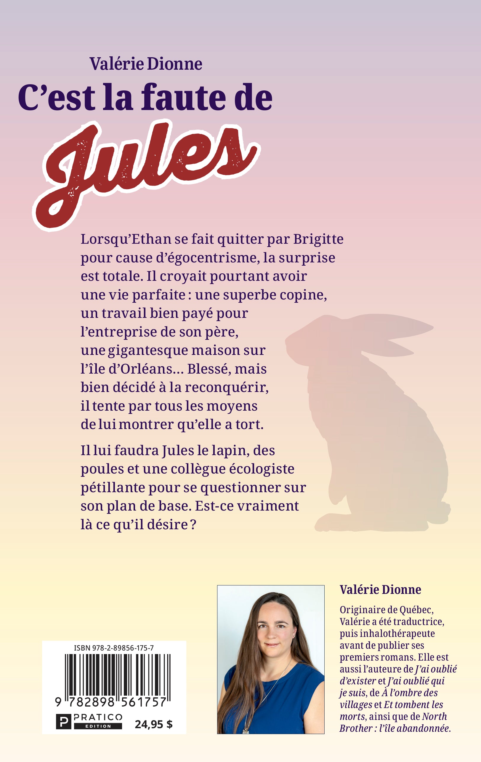 C'est la faute de Jules! - Valérie Dionne